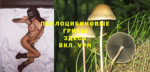 амф Алзамай