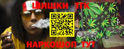 прущие грибы Заводоуковск
