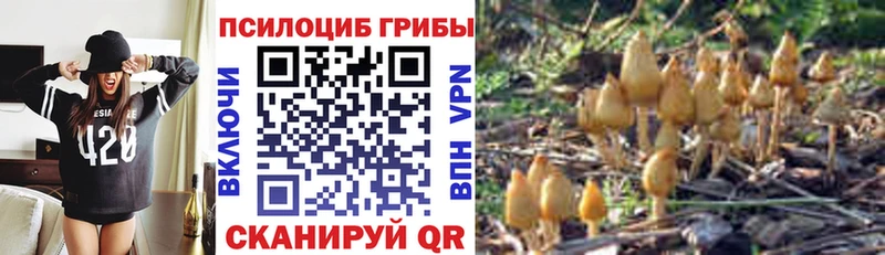 даркнет сайт  Лянтор  Галлюциногенные грибы прущие грибы 